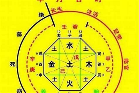 自己屬性|生辰八字算命、五行喜用神查詢（免費測算）